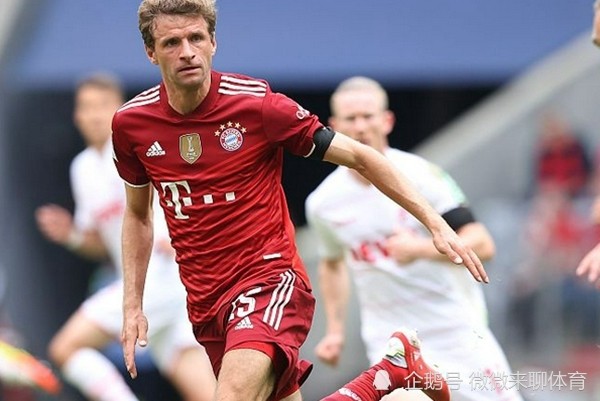 九游体育官网-关于德国杯倒计时，夏洛特黄蜂今晚豪取连胜，细节引发关注，目标明确，球队文化再被提及的信息